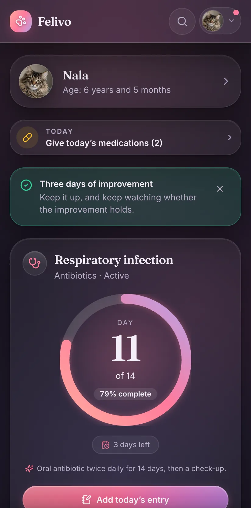 Felivo app - the Home screen of a cat in treatment: today’s medications and treatment progress, day 11 of 14